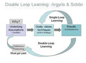 Double Loop Learing